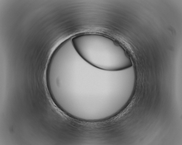 X0000111590936200908131337