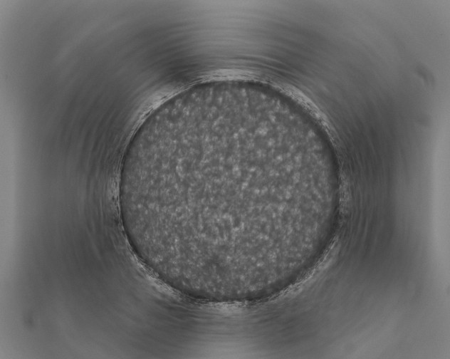 X0000111590937200908131337