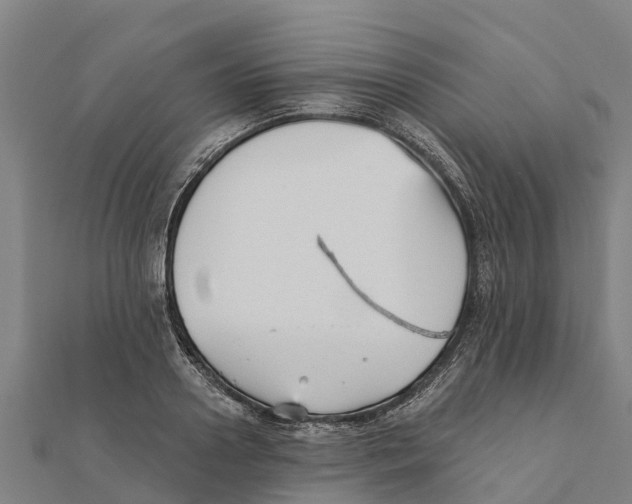 X0000111590938200908131337