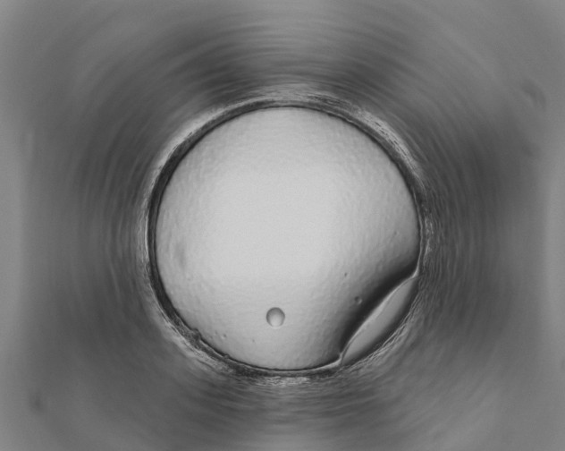 X0000111590939200908131337