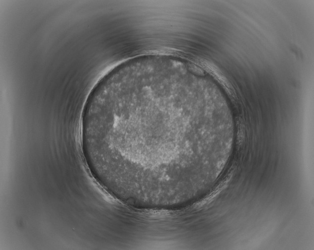 X0000111590940200908131337