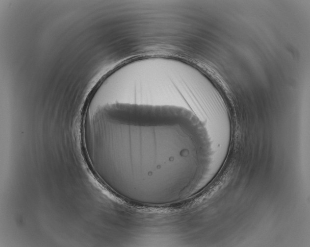 X0000111590941200908131337