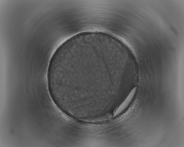 X0000111590943200908131337