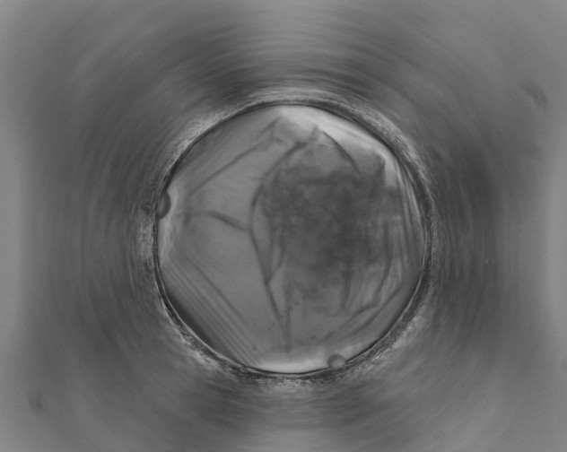 X0000111590945200908131337