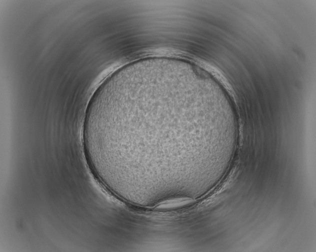 X0000111590946200908131337
