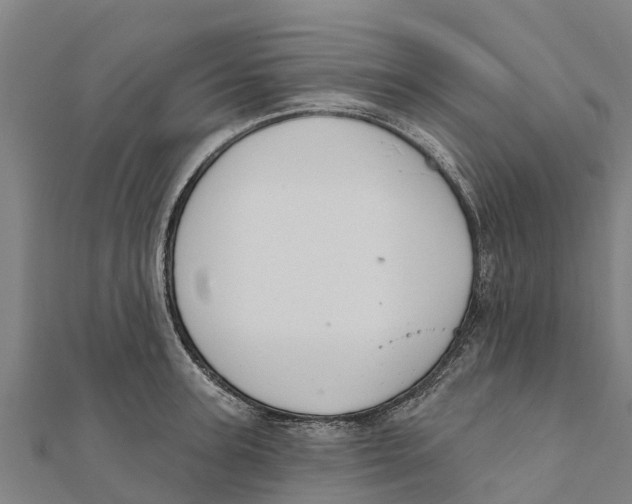 X0000111590947200908131337