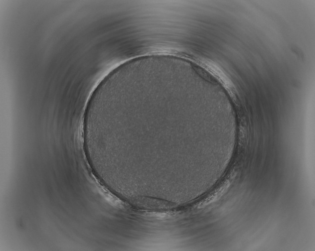 X0000111590948200908131337