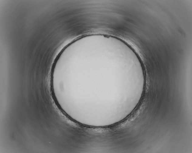 X0000111590949200908131337