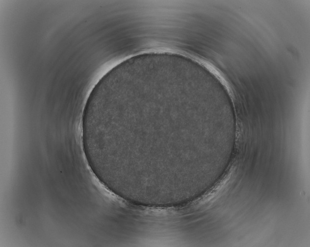 X0000111590951200908131338
