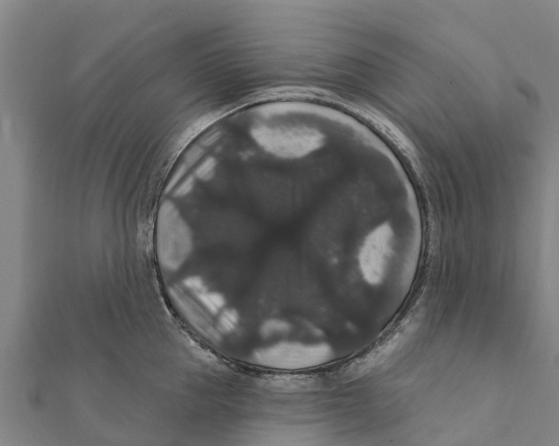X0000111590953200908131338