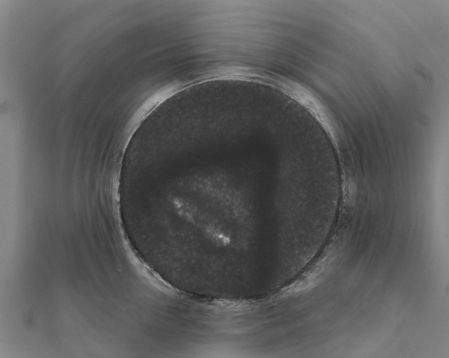 X0000111590954200908131338