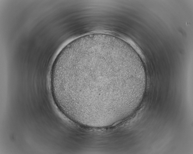 X0000111590955200908131338