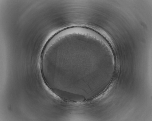 X0000111590958200908131338