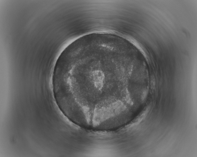 X0000111590959200908131338