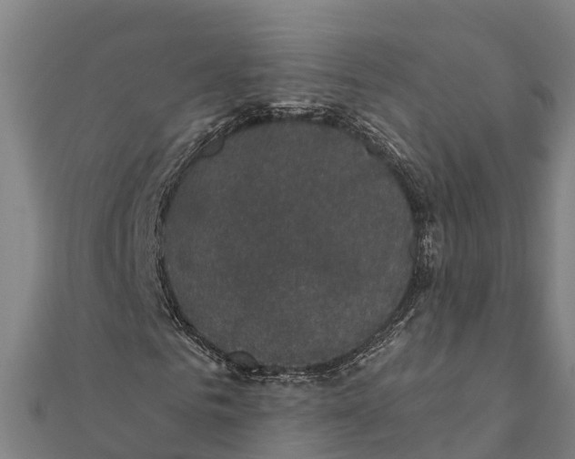 X0000111590961200908131337