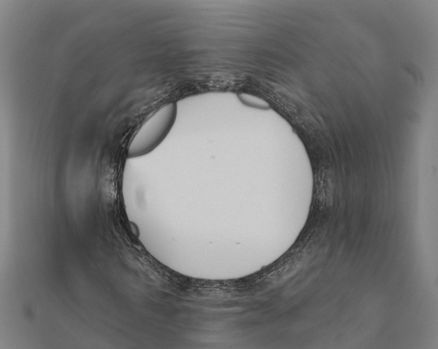 X0000111590962200908131337