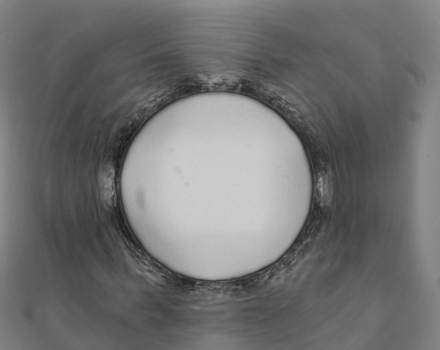 X0000111590963200908131337