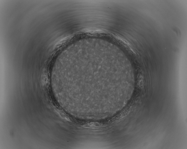 X0000111590966200908131337