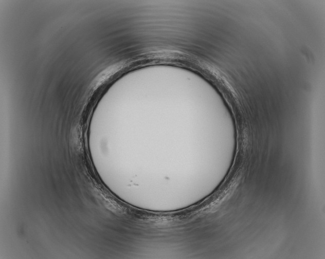 X0000111590970200908131337