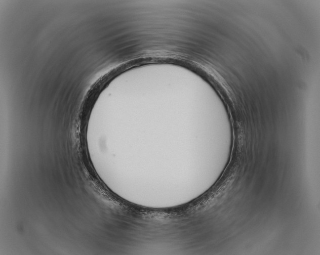 X0000111590971200908131337