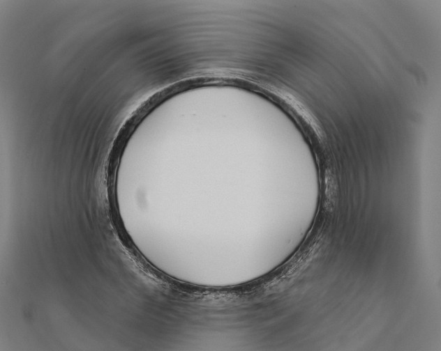 X0000111590972200908131337