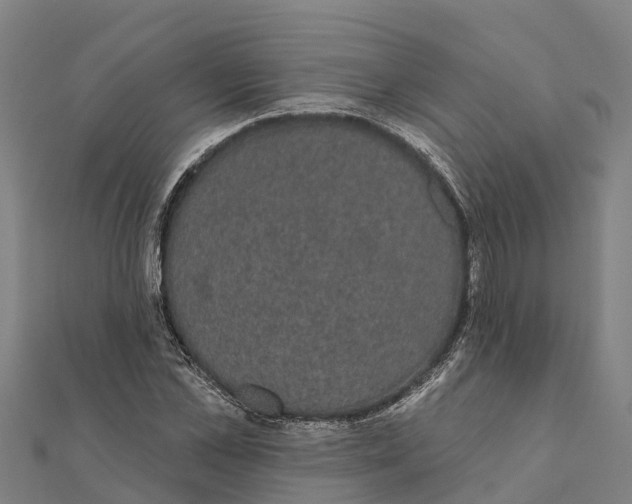 X0000111590973200908131337