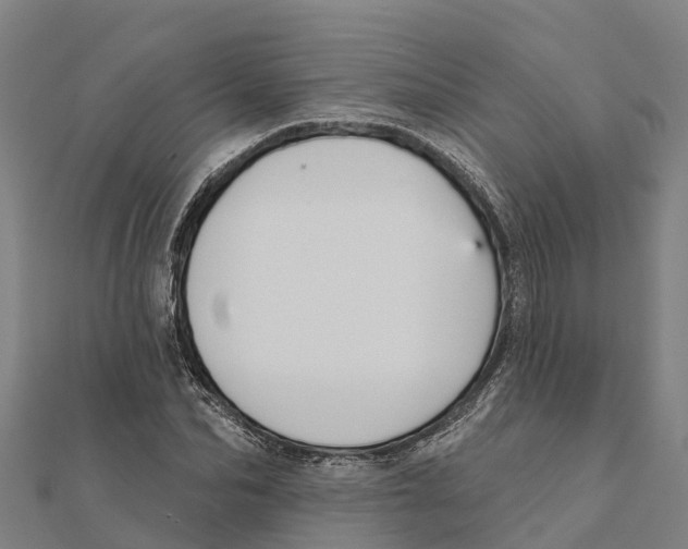 X0000111590974200908131337
