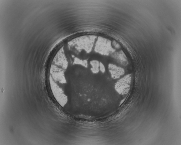 X0000111590975200908131337