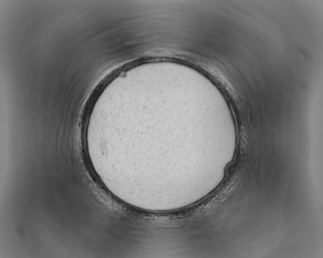 X0000111590976200908131337