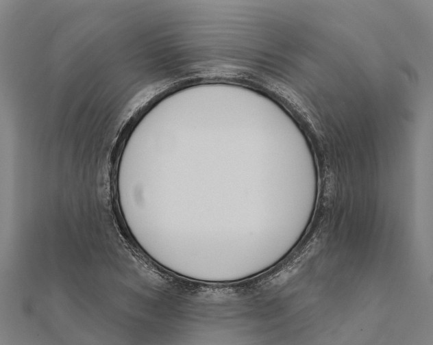 X0000111590978200908131337