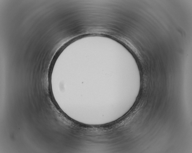 X0000111590980200908131337