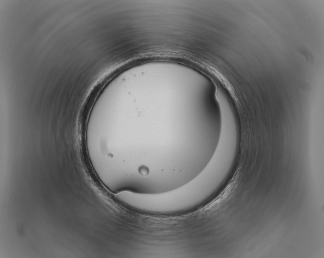 X0000111590981200908131337