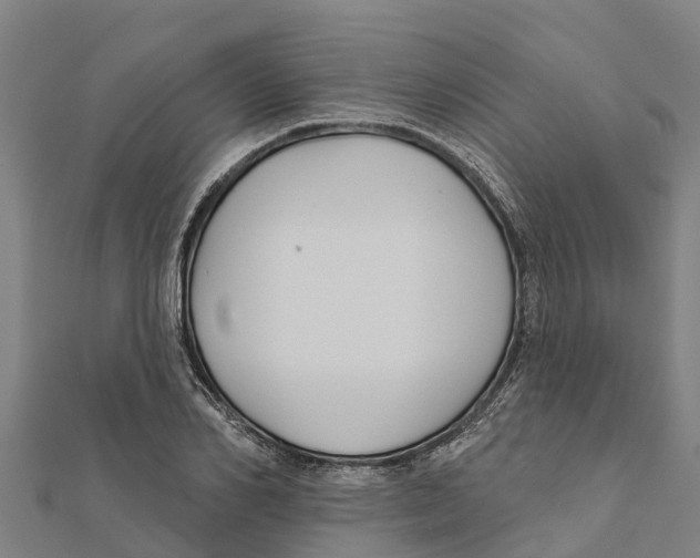 X0000111590982200908131337