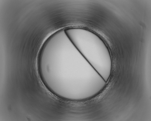 X0000111590983200908131337