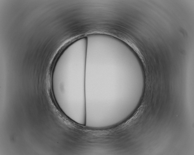 X0000111590984200908131337