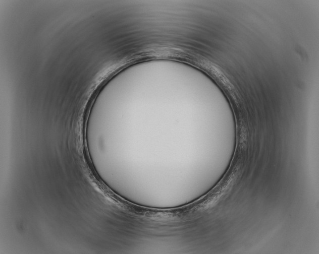 X0000111590986200908131337