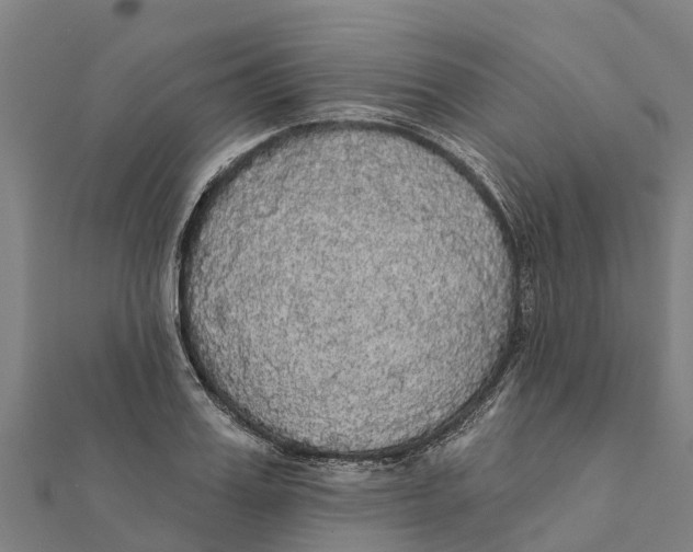 X0000111590987200908131337