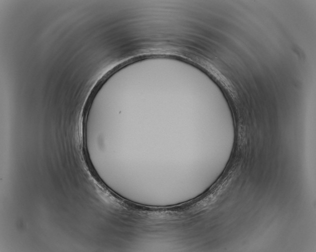 X0000111590988200908131337