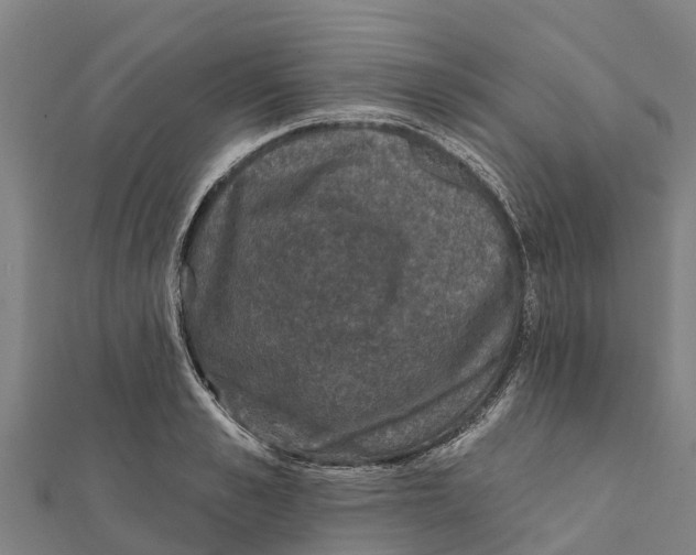 X0000111590989200908131336
