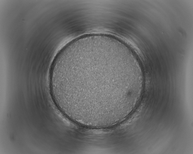X0000111590990200908131336