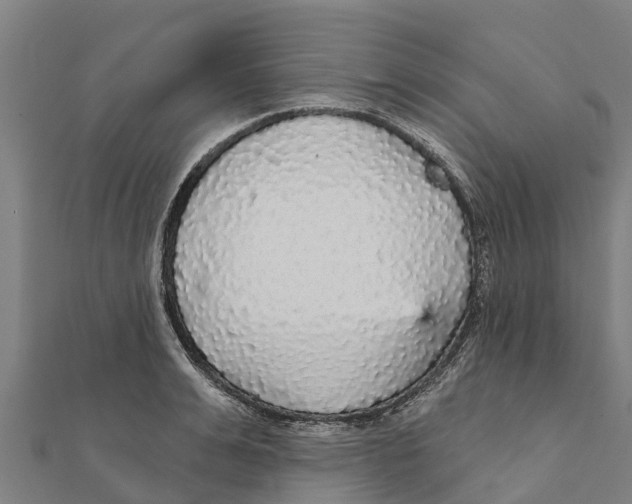 X0000111590991200908131336
