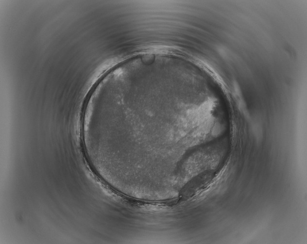 X0000111590994200908131336