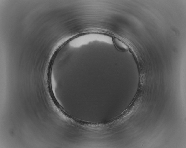 X0000111590995200908131336