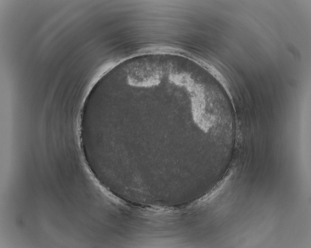 X0000111590997200908131336