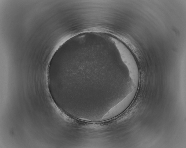 X0000111590998200908131336