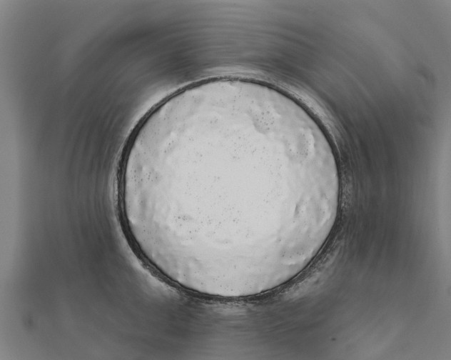 X0000111590999200908131336