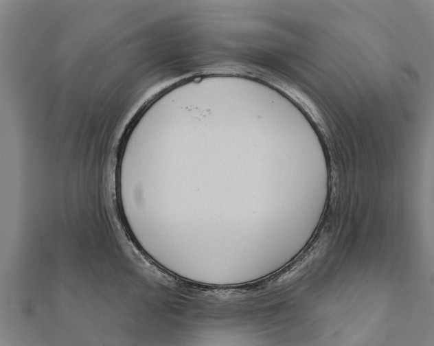 X0000111591000200908131336