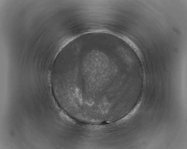X0000111591001200908131336
