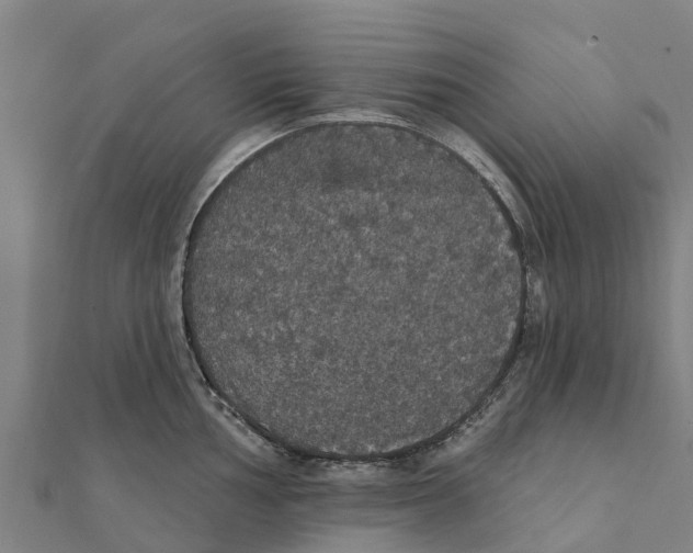 X0000111591002200908131336