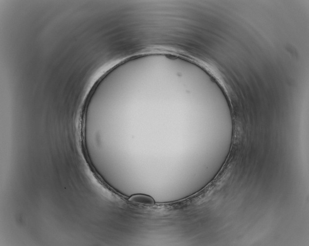 X0000111591003200908131336